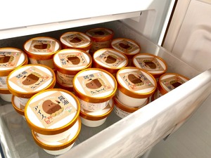 関宿城でも醤油アイス