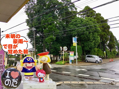 大雨明けの野田市