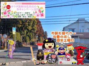 PXL_20240929_234446616