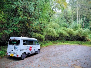 PXL_20251026_025051751~2