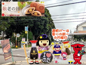 PXL_20240901_235710365