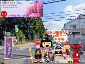 chibaken-cashless_banner_a_320x50