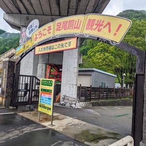 PXL_20240602_062332194