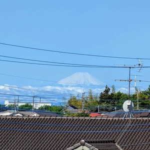 PXL_20250425_061022676