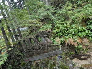 PXL_20250914_040930326