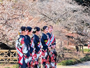 水戸の梅大使・梅娘が勢揃い