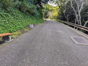 PXL_20231022_031253698