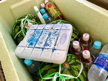 冷え冷えスイカ