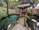 泉神社の湧き水(泉)