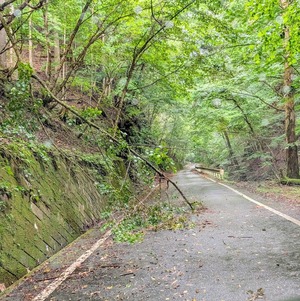 林道｜落石・倒木で断念