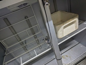 PXL_20240525_110234154.PORTRAIT~2