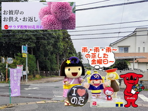 PXL_20230920_000515179