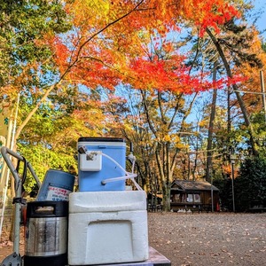 PXL_20251119_060842383~3