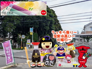 PXL_20231026_235923956