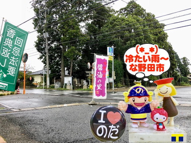 冷たい雨の野田市2018