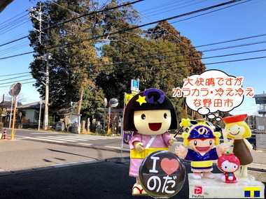 カラカラ・冷え冷えな野田市