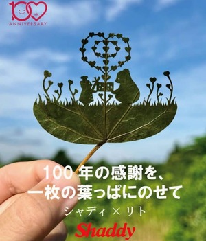 シャディ100周年・リトコラボ