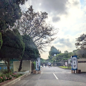 PXL_20240822_100953380b