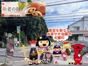 PXL_20231026_235923956