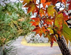 PXL_20251026_021026579~2