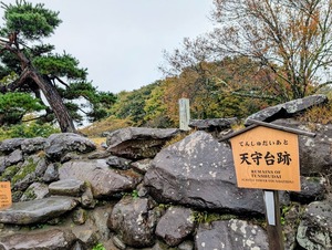 PXL_20251026_014016968~2