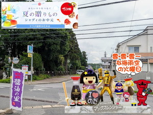 野田市｜雲･雲・雲な7月7日七夕