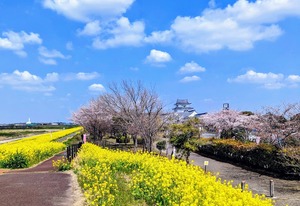 2023年3月22日の関宿城live