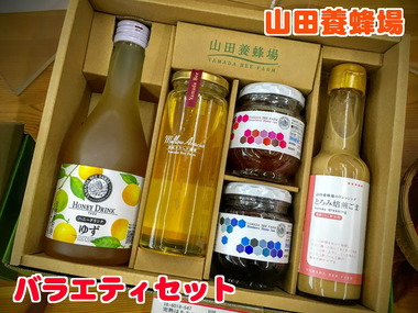 SAVE0231ｍl