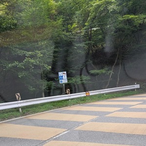 いろは坂のい