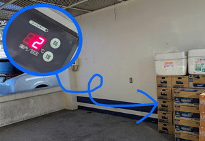 PXL_20250620_205249217