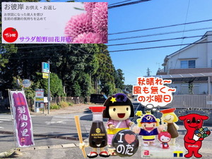 chibaken-cashless_banner_a_320x50