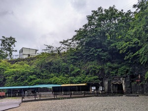 PXL_20240602_065152839