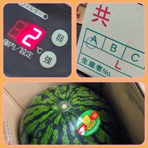 PXL_20240520_001322307