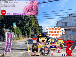 chibaken-cashless_banner_a_320x50