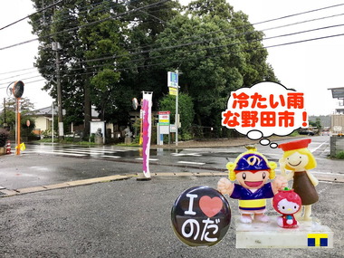 冷たい雨の野田市