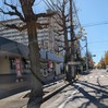 松戸市へのお仕事