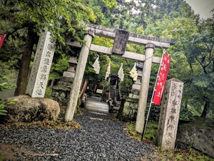 PXL_20250810_050325654~2