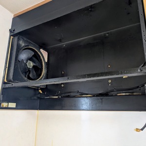 PXL_20250329_235631051~2