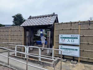 PXL_20240714_023138119