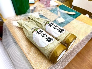 PXL_20240211_040716048-EDIT