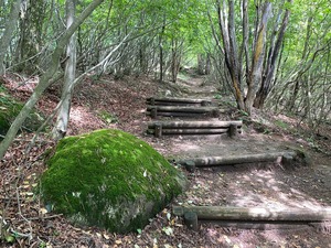 そして登山道