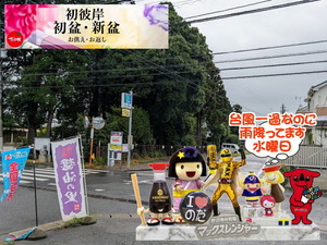 nodasi|台風一過なのに雨な水曜日