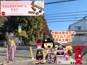 野田パワスポ|今朝は青空でも冷え込んだ週末土曜の店頭の様子