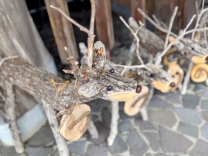 PXL_20250518_053828272.PORTRAIT-EDIT