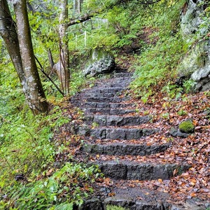 PXL_20251026_031259987~2