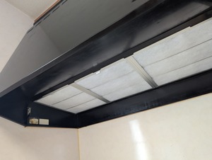 PXL_20250330_025210827