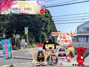 PXL_20250505_232229453