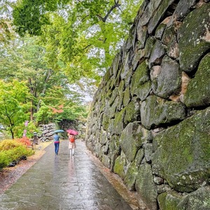 PXL_20251026_012321318~2