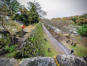 PXL_20251026_014323780~2