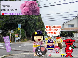 PXL_20230920_000515179